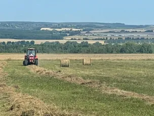 Сельхозорганизации Вадского округа завершили  заготовку сенажа и сена первого укоса